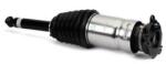 Arnott Brat arc pneumatic Arnott AS-3381 (AS-3381)
