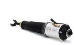 Arnott Brat arc pneumatic Arnott AS-2778 (AS-2778)