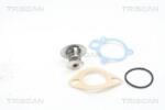 TRISCAN Termostat, lichid racire TRISCAN 8620 2391 (8620 2391)