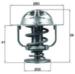 MAHLE Termostat, lichid racire MAHLE TX 177 82D (TX 177 82D)
