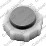 CALORSTAT by Vernet Buson, vas expansiune CALORSTAT by Vernet RC0018 (RC0018)