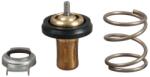 GATES Termostat, lichid racire GATES TH49288G1 (TH49288G1)