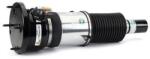 Arnott Brat arc pneumatic Arnott AS-3351 (AS-3351)