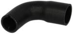 THERMOTEC Palnie, filtru de aer THERMOTEC DCX014TT (DCX014TT)