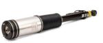 Arnott Brat arc pneumatic Arnott AS-2884 (AS-2884)