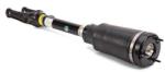 Arnott Brat arc pneumatic Arnott AS-3005 (AS-3005)