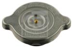 Febi Bilstein Buson, vas expansiune FEBI BILSTEIN 04520 (04520)