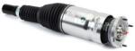 Arnott Brat arc pneumatic Arnott AS-3368 (AS-3368)