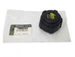 Original Renault Buson, vas expansiune ORIGINAL RENAULT RE8200048024 (RE8200048024)