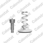 CALORSTAT by Vernet Termostat, lichid racire CALORSTAT by Vernet TH6965.87 (TH6965.87)