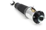 Arnott Brat arc pneumatic Arnott AS-2563 (AS-2563)