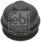 Febi Bilstein Capac, filtru combustibil FEBI BILSTEIN 196549 (196549)