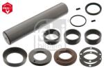 Febi Bilstein Set reparatie, pivot FEBI BILSTEIN 19173 (19173)