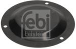 Febi Bilstein capac de protectie, butuc roata FEBI BILSTEIN 194676 (194676)