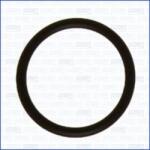 AJUSA Garnituri, carcasa filtru ulei AJUSA 16015300 (16015300)