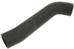 THERMOTEC Palnie, filtru de aer THERMOTEC DCW011TT (DCW011TT)