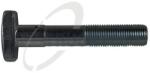 Trucktec Automotive Bolt roata TRUCKTEC AUTOMOTIVE 04.33. 008 (04.33.008)