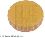 BLUE PRINT Buson, vas expansiune BLUE PRINT ADG09927 (ADG09927)