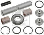 Febi Bilstein Set reparatie, pivot FEBI BILSTEIN 04581 (04581)