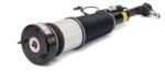 Arnott Brat arc pneumatic Arnott AS-2853 (AS-2853)