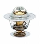 Meat & Doria Termostat, lichid racire MEAT & DORIA 92125 (92125)