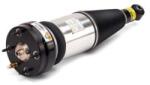 Arnott Brat arc pneumatic Arnott AS-2891 (AS-2891)