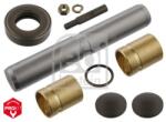 Febi Bilstein Set reparatie, pivot FEBI BILSTEIN 04295 (04295)