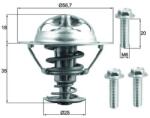 MAHLE Termostat, lichid racire MAHLE TX 202 90D (TX 202 90D)