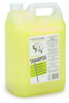Gottlieb Sampon Tojásos, 5l