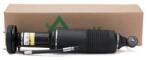 Arnott Brat arc pneumatic Arnott SK-2470 (SK-2470)