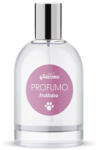 Record kutyaparfüm GYÜMÖLCSÖS, 100 ml