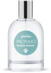 Record kutyaparfüm SEA BREEZE, 100 ml