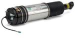 Arnott Brat arc pneumatic Arnott AS-2979 (AS-2979)