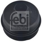 Febi Bilstein Capac, filtru combustibil FEBI BILSTEIN 185570 (185570)