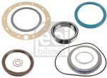 Febi Bilstein Set garnituri, butuc roata FEBI BILSTEIN 173953 (173953)