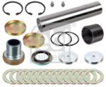 Febi Bilstein Set reparatie, pivot FEBI BILSTEIN 172053 (172053)
