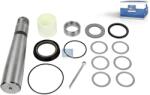 DT Spare Parts Set reparatie, pivot DT Spare Parts 2.95001 (2.95001)