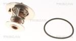 TRISCAN Termostat, lichid racire TRISCAN 8620 9691 (8620 9691)
