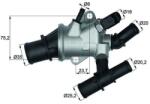 MAHLE Termostat, lichid racire MAHLE TI 162 88 (TI 162 88)
