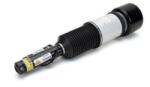 Arnott Brat arc pneumatic Arnott AS-2605 (AS-2605)