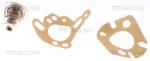 TRISCAN Termostat, lichid racire TRISCAN 8620 10288 (8620 10288)
