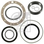 Febi Bilstein Set garnituri, butuc roata FEBI BILSTEIN 21947 (21947)