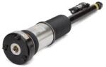 Arnott Brat arc pneumatic Arnott AS-2822 (AS-2822)