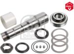 Febi Bilstein Set reparatie, pivot FEBI BILSTEIN 47153 (47153)