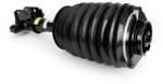 Arnott Brat arc pneumatic Arnott AS-3899 (AS-3899)