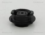 TRISCAN Rulment sarcina suport arc TRISCAN 8500 23911 (8500 23911)