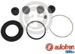 Autofren Seinsa Set reparatie, etrier AUTOFREN SEINSA D4666 (D4666)