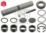 Febi Bilstein Set reparatie, pivot FEBI BILSTEIN 08535 (08535)
