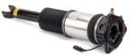 Arnott Brat arc pneumatic Arnott AS-2966 (AS-2966)