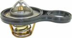 METZGER Termostat, lichid racire METZGER 4006093 (4006093)